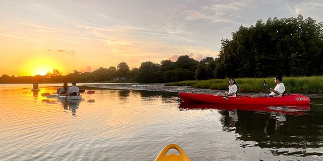 Sea kayaking sundowner experience west coast guided  (8)